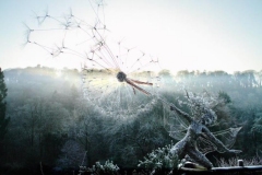 wire-fairy